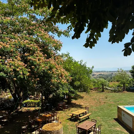 Fatimapartments * Comerconi